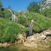 krupa3